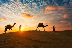 Thar Desert Camel Safari