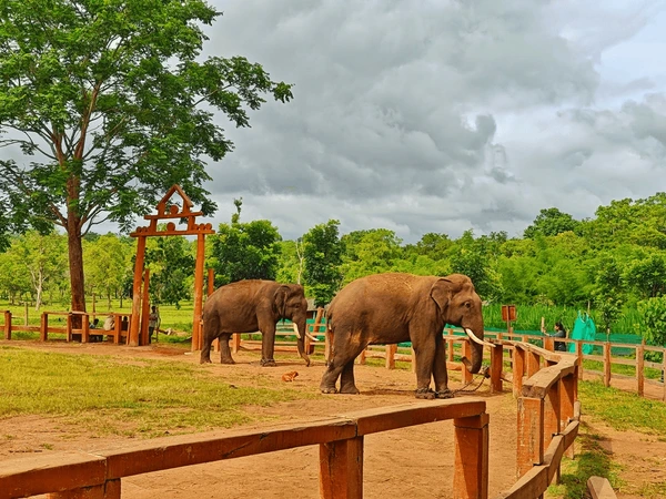 Dubare Elephant Camp