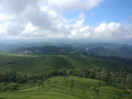 Munnar Hills